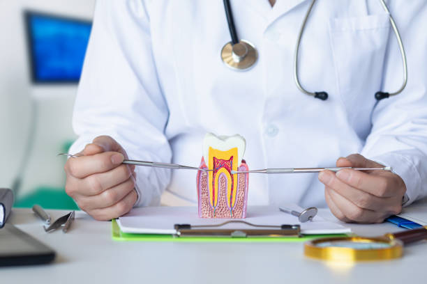 Best Emergency Dentist for Lost Fillings or Crowns in Plainfield, NJ